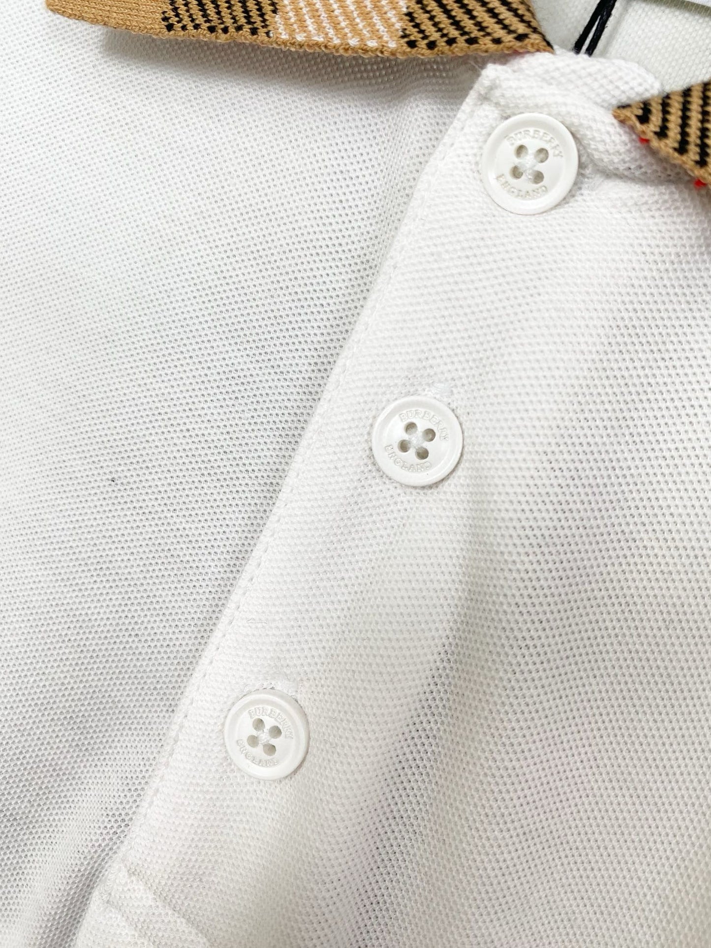 BBR Polo