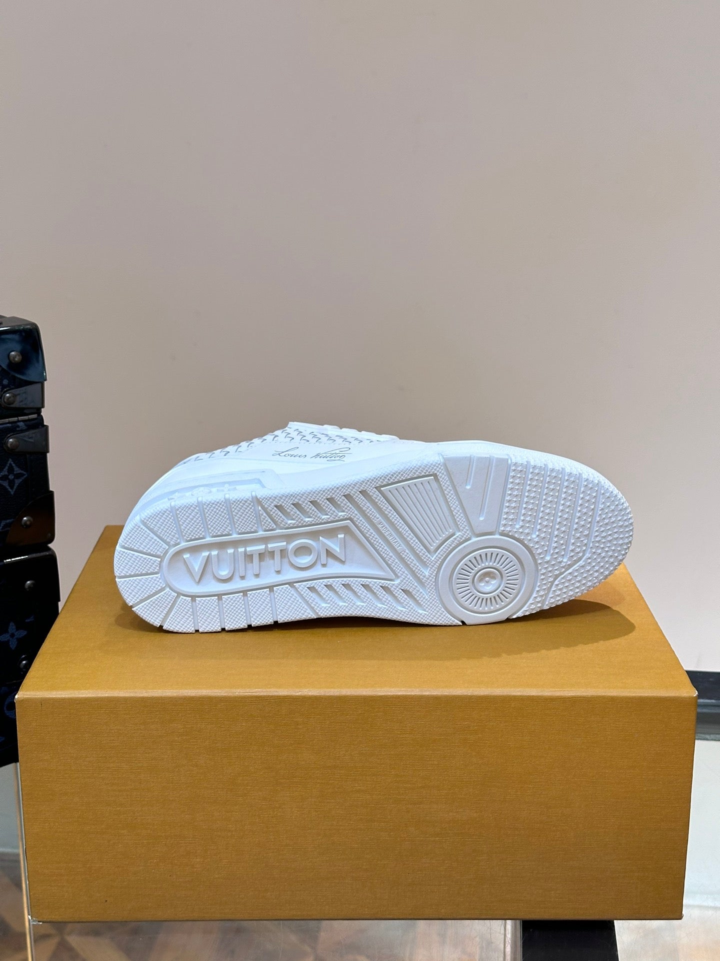 Louis Vuitton Trainer Sneakers