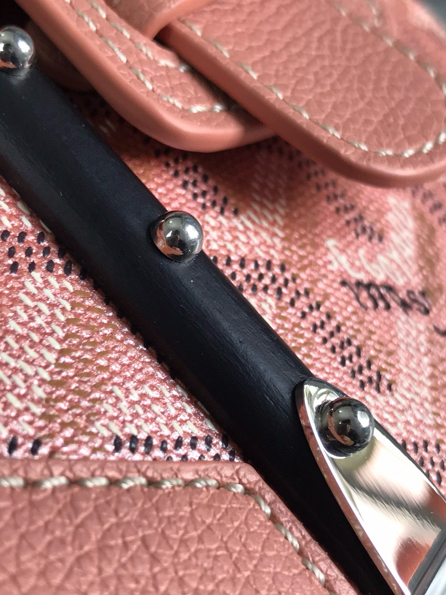 Goyard Saigon Bag