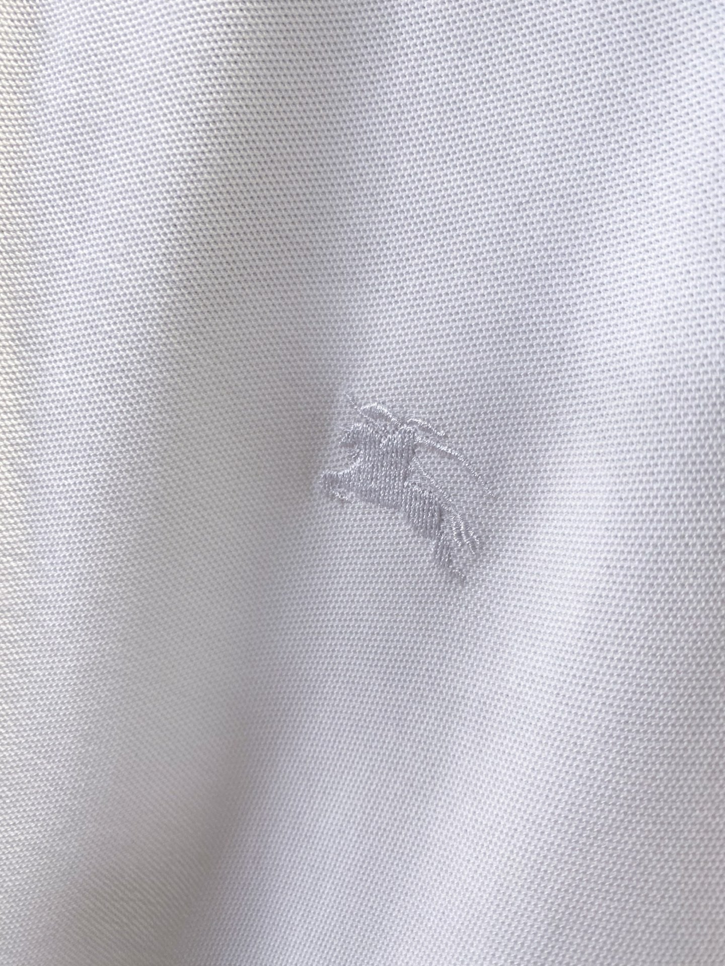 BBR Polo