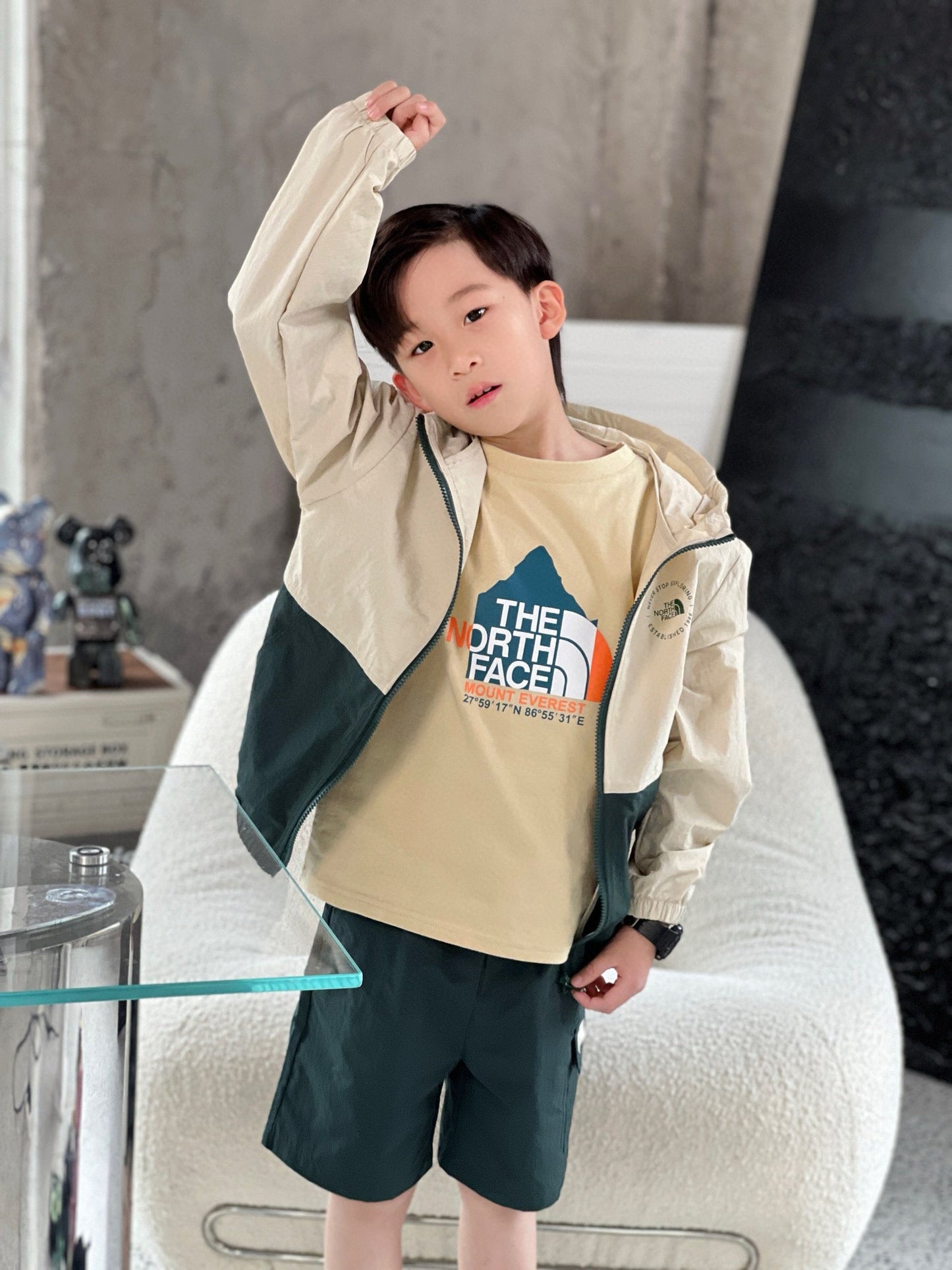The North Face Jacket