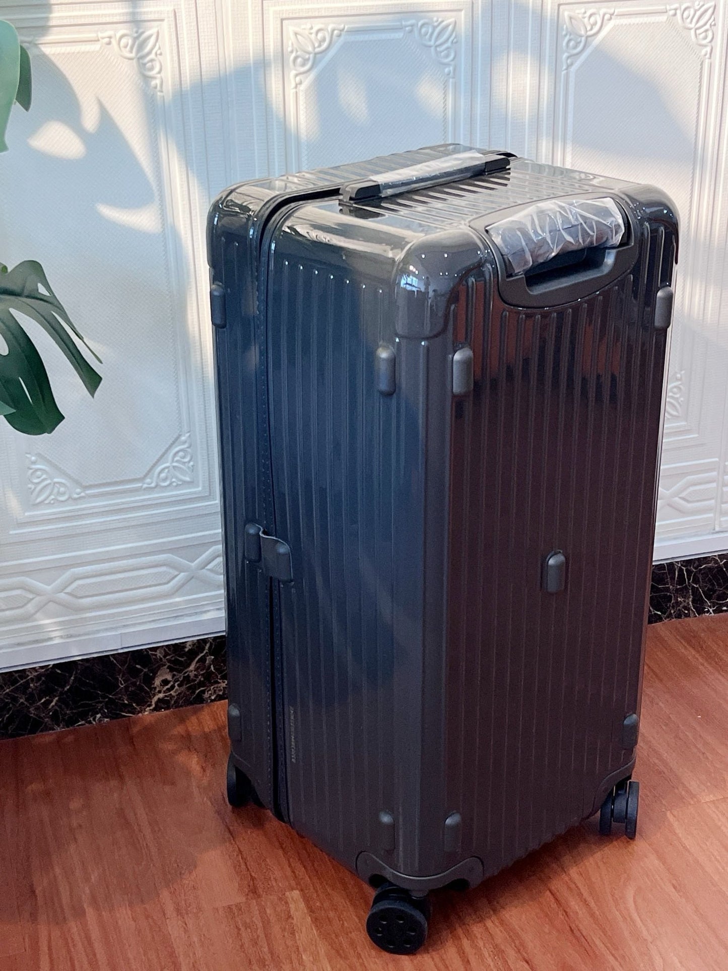 Rimowa Luggage Essential