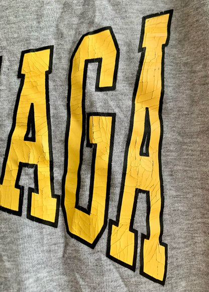 BLCG Hoodie