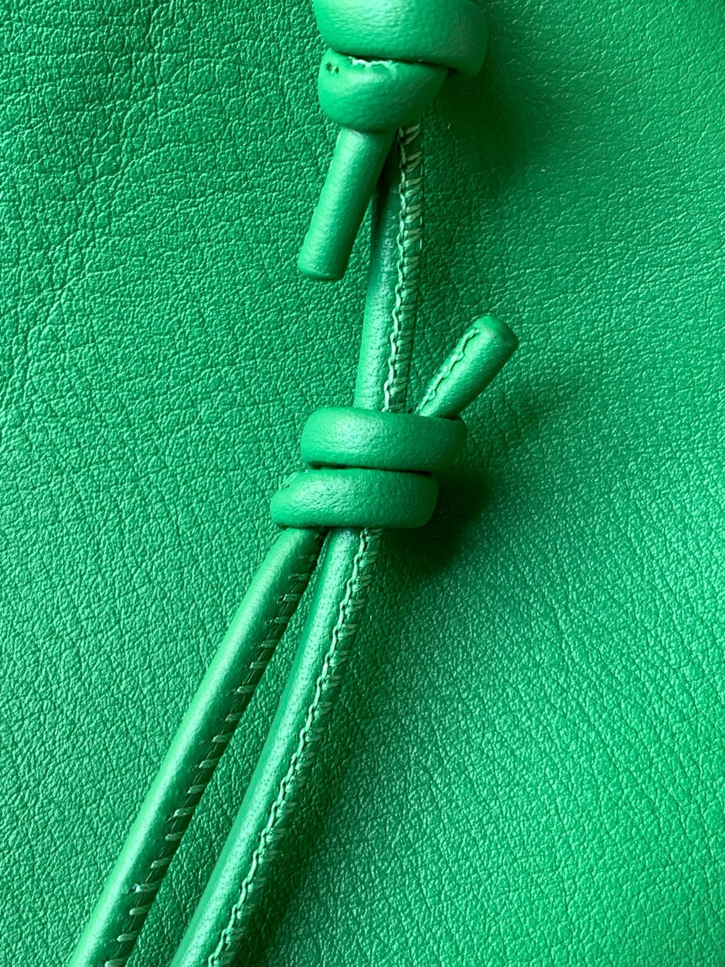 Loewe Pebble Leather
