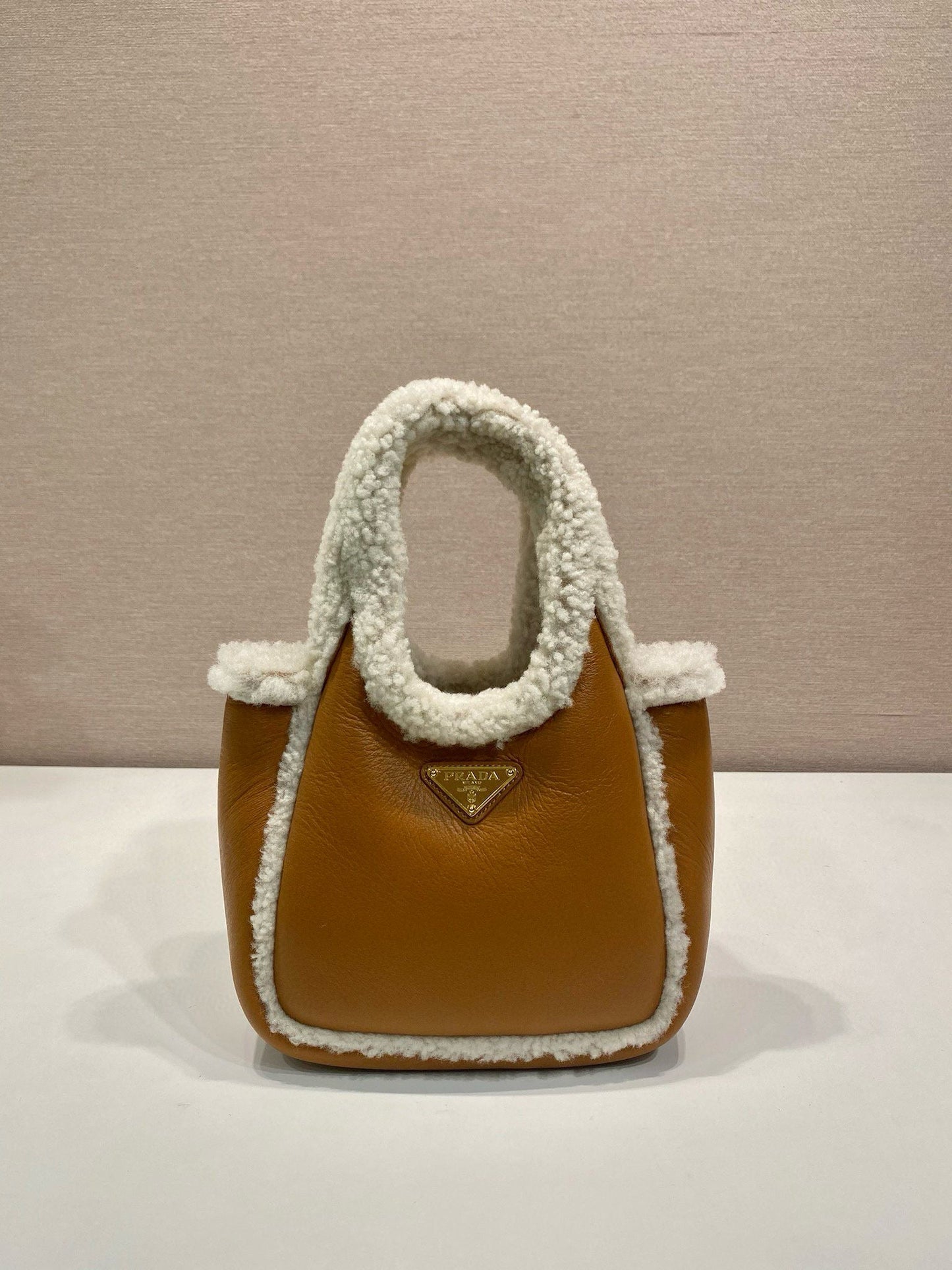 Prada Mini Tote Bag