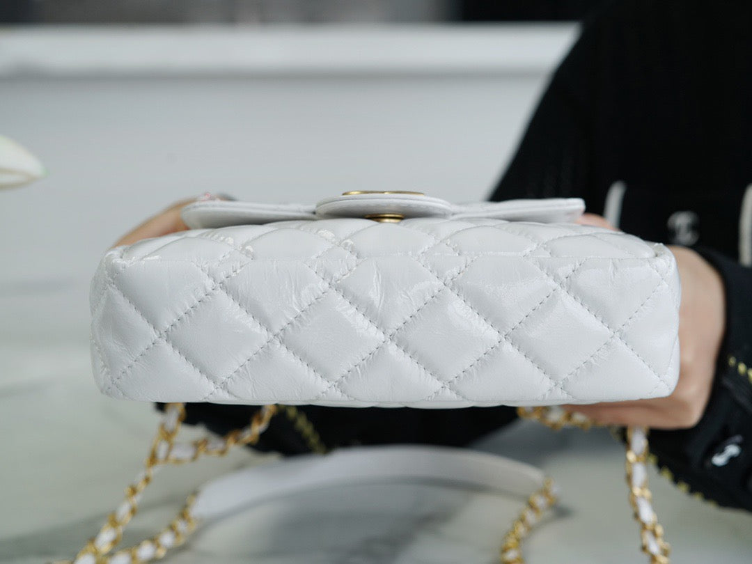Chanel 23C Hobo Bag (small)