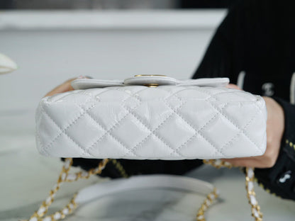 Chanel 23C Hobo Bag (small)