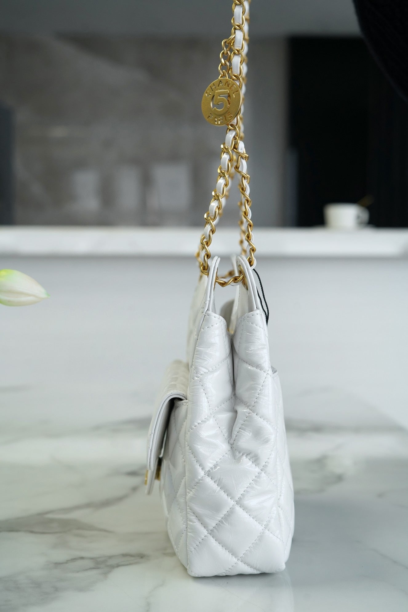 Chanel 23C Hobo Bag