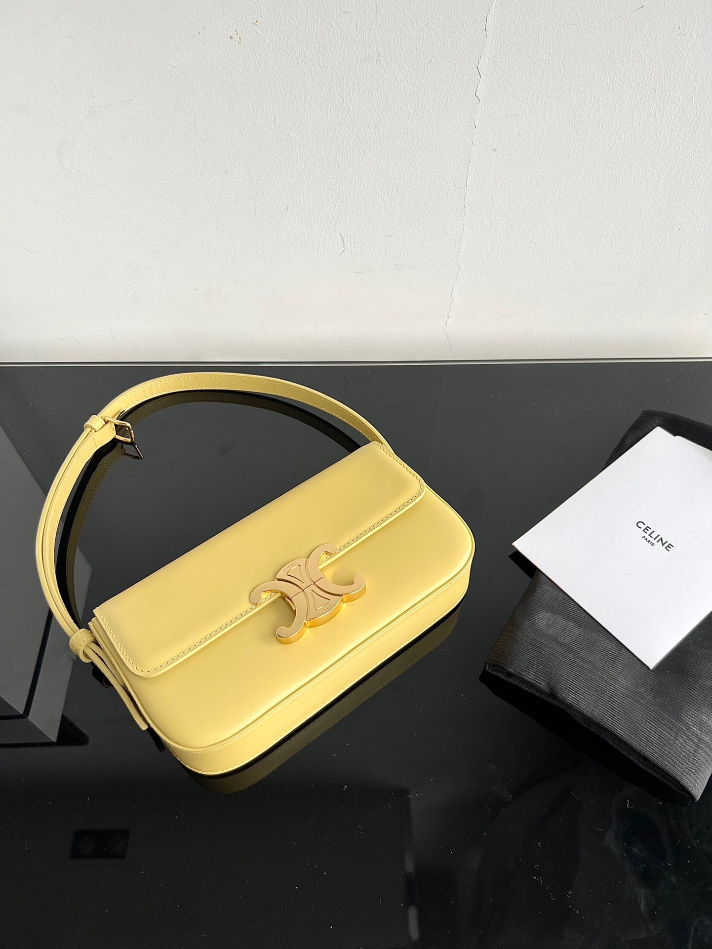 Celine Triomphe Hobo