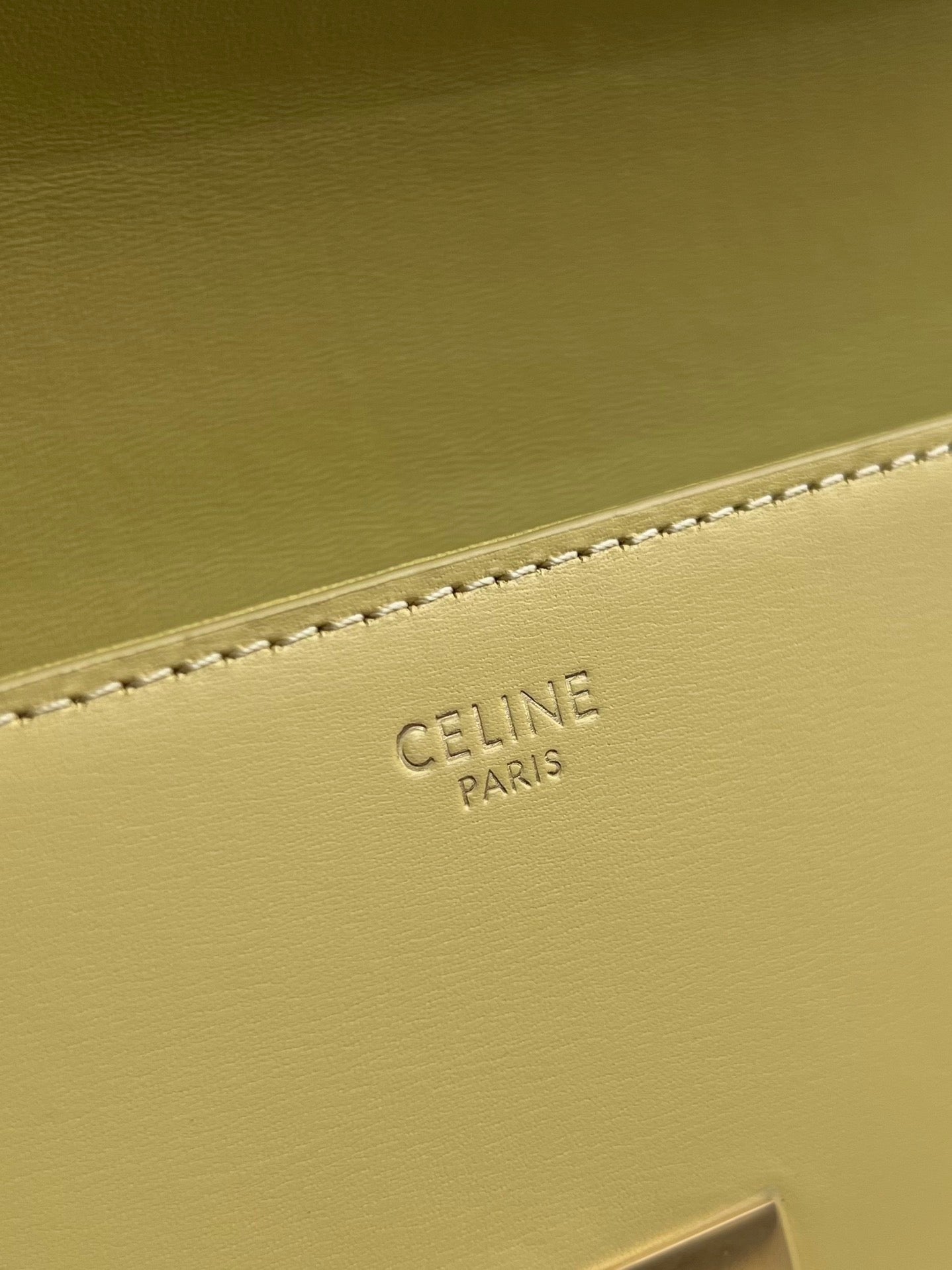 Celine Triomphe Hobo