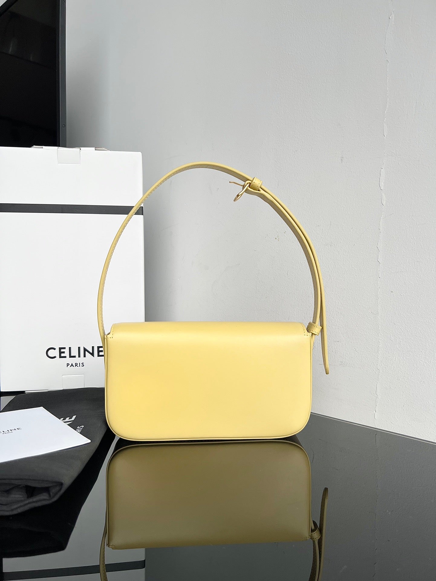 Celine Triomphe Hobo